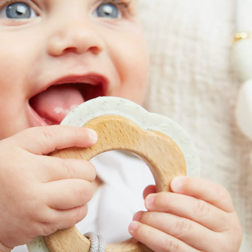 Moonlight Teether + Clip Set