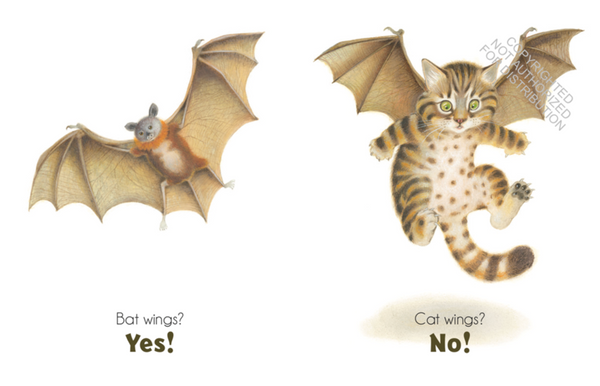 Bat Wings! Cat Wings? (3-5yrs)