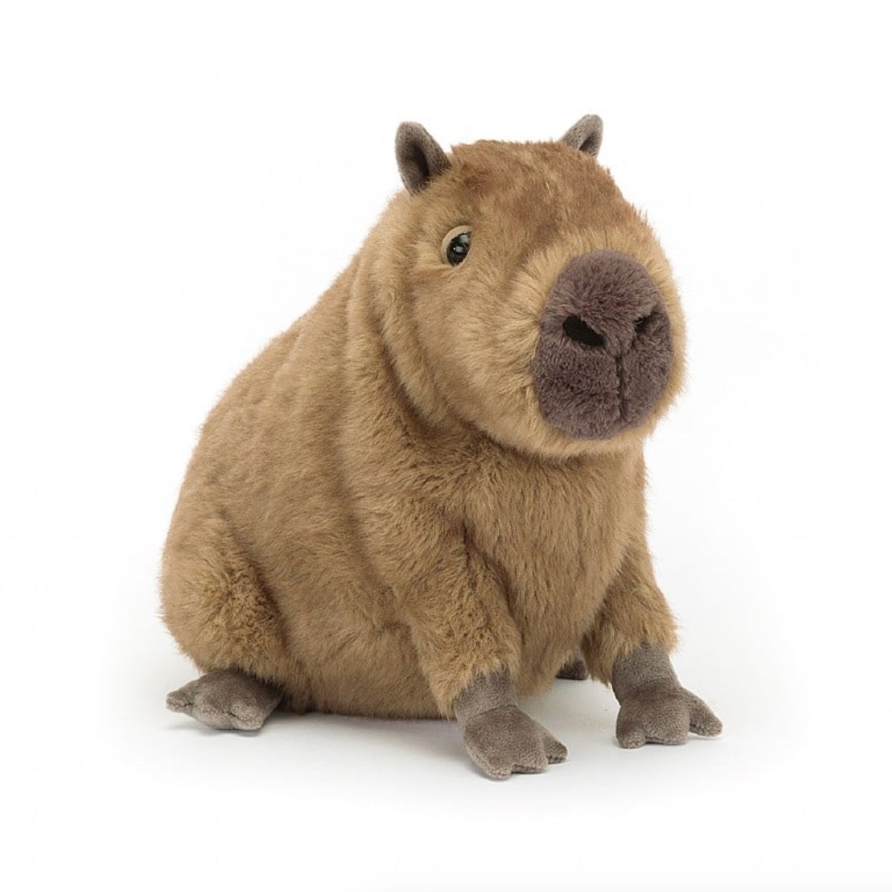 Clyde Capybara