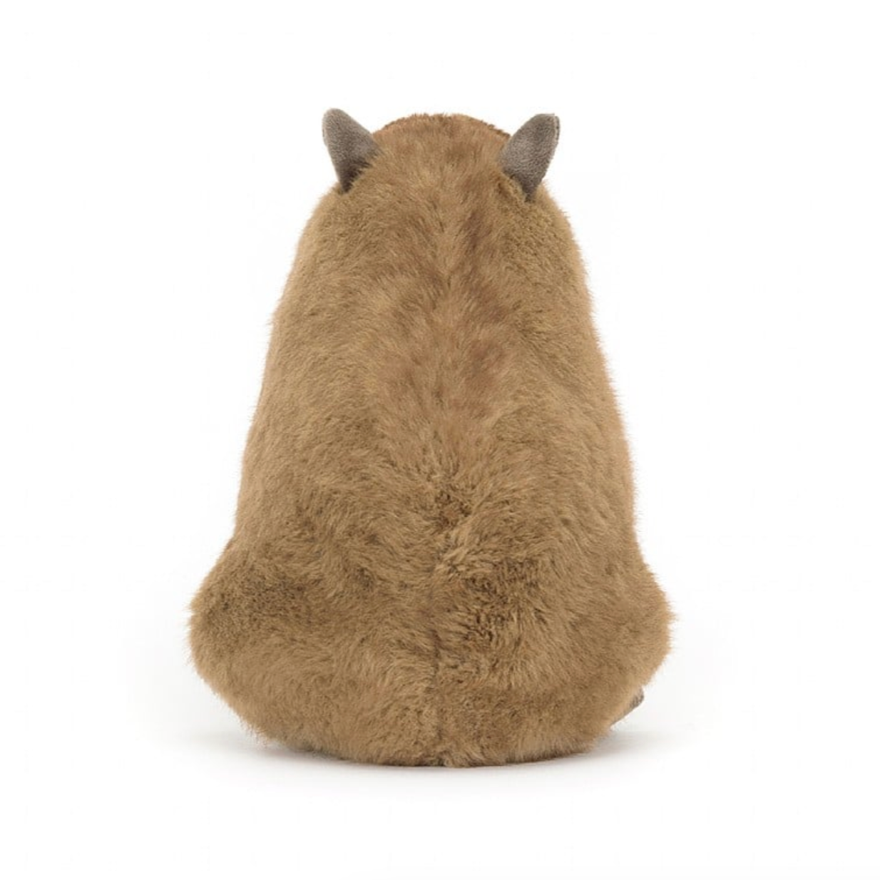 Clyde Capybara