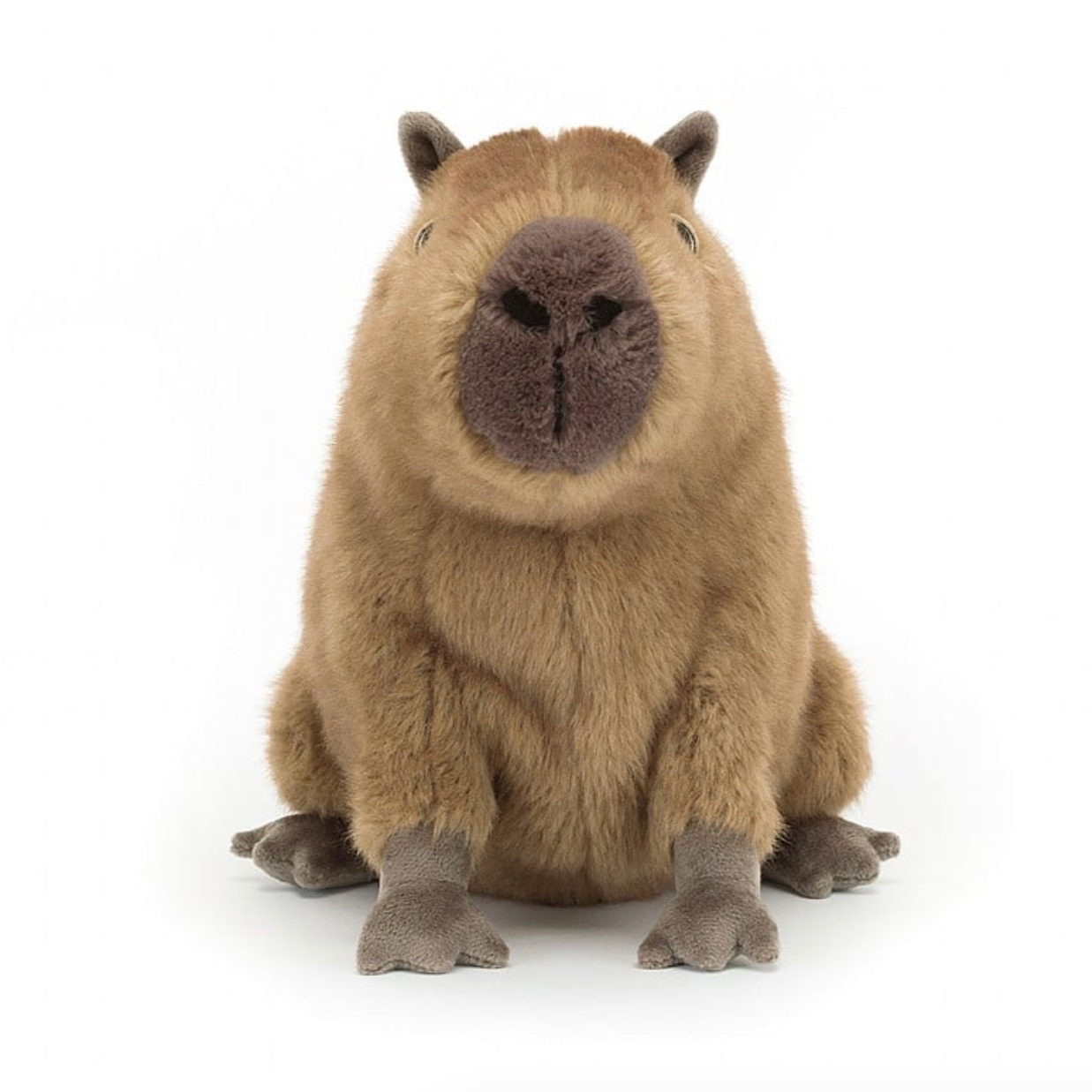 Clyde Capybara