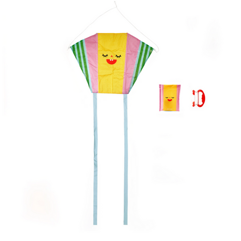 Funny Faces Pocket Kites
