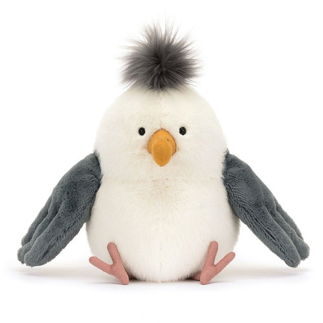 Chip Seagull