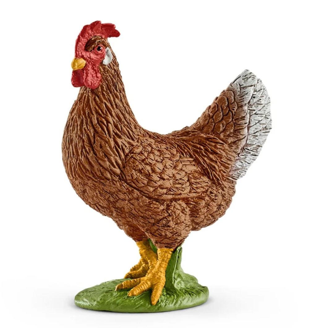 Hen