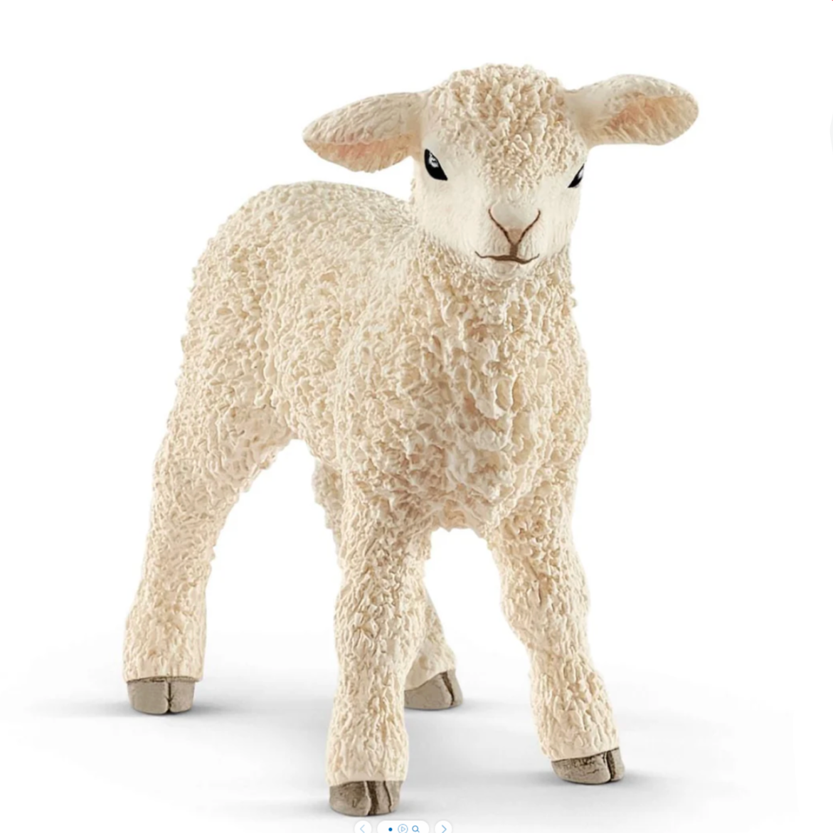 Lamb