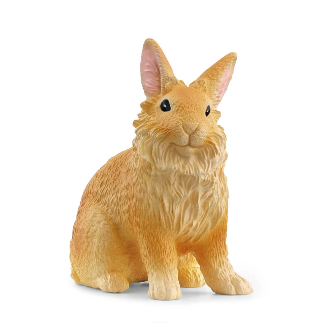 Lionhead Rabbit