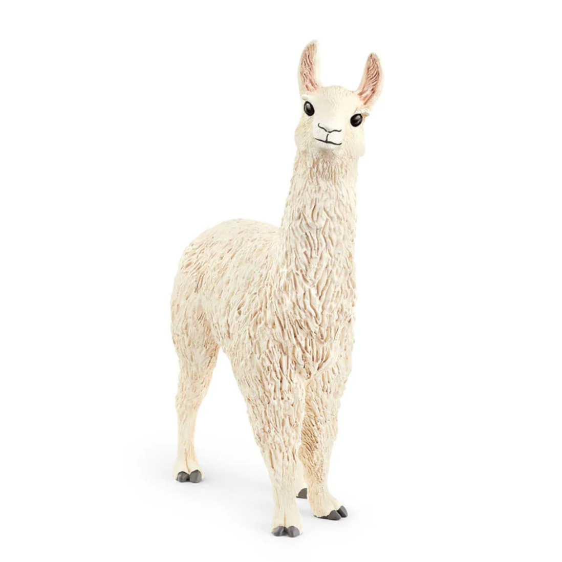 Llama