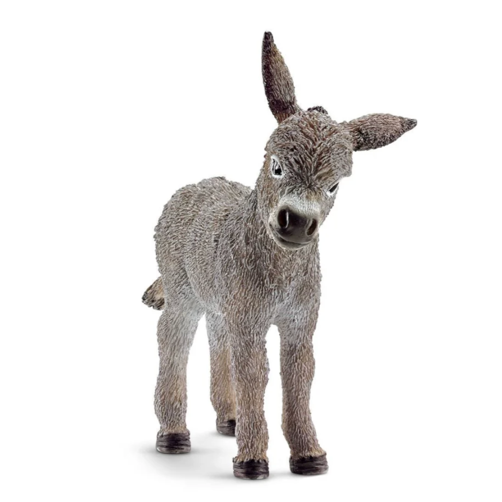 Donkey Foal