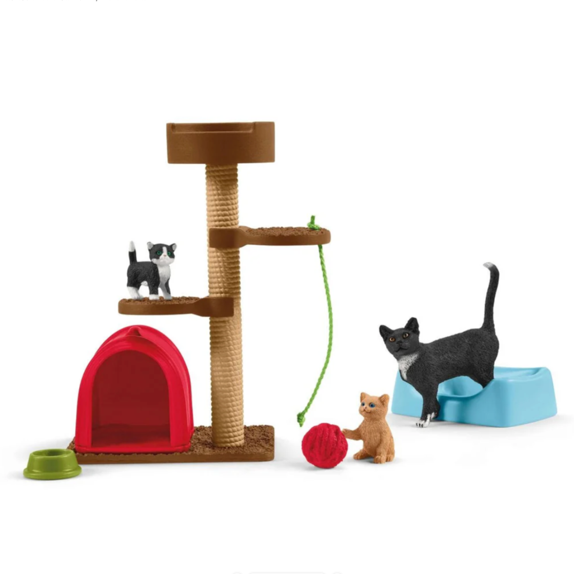 Playtime for Cute Cats