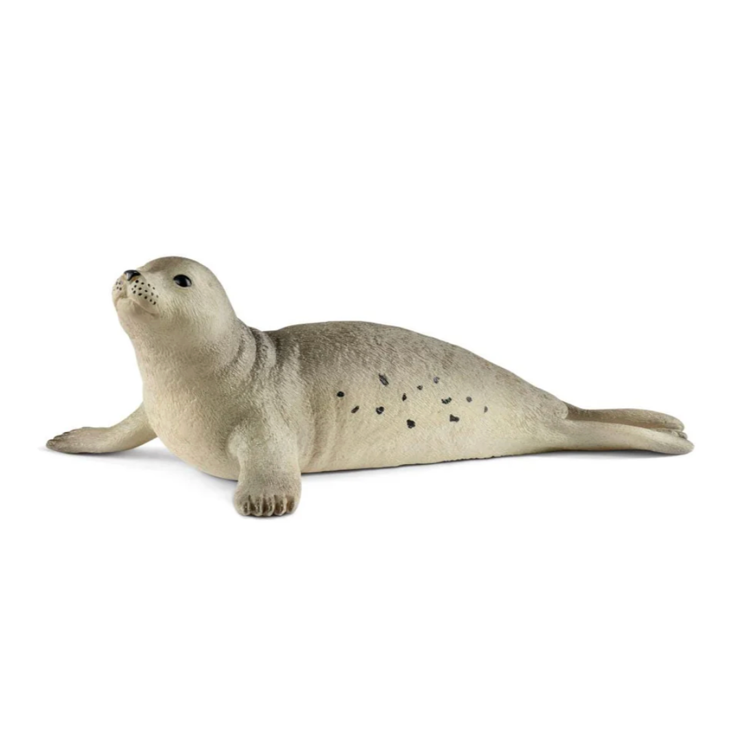 Seal