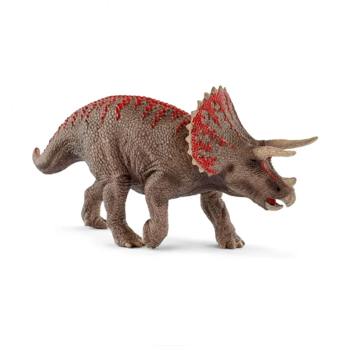 Triceratops