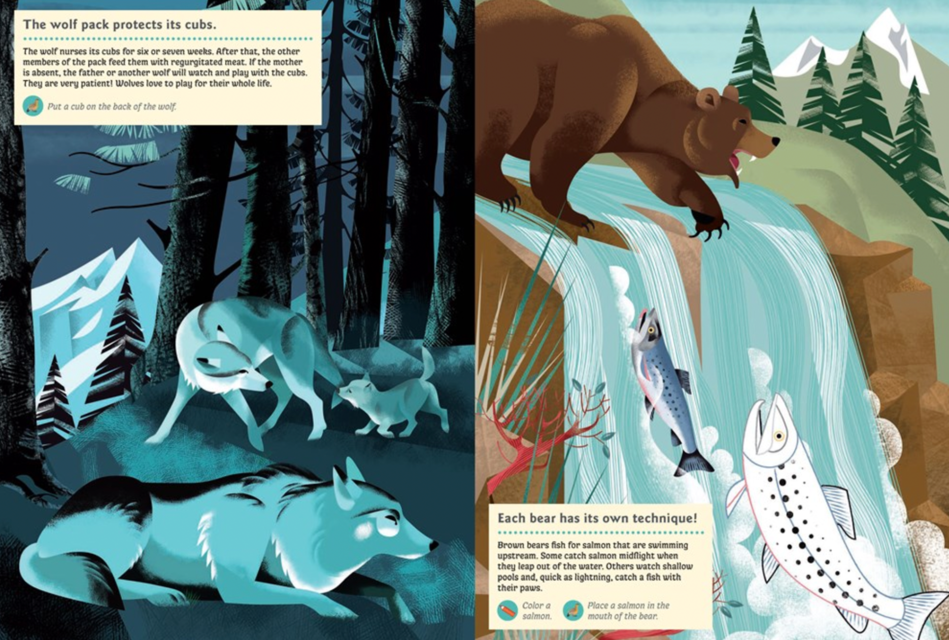 Animals of the Mountains -My Nature Sticker Activity Book