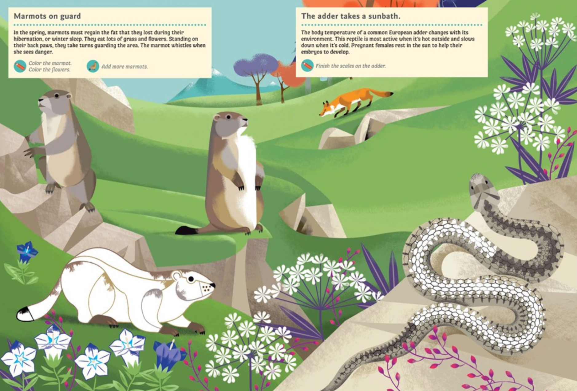 Animals of the Mountains -My Nature Sticker Activity Book