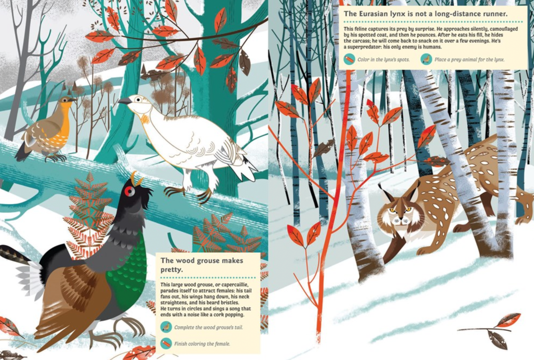 Animals of the Mountains -My Nature Sticker Activity Book