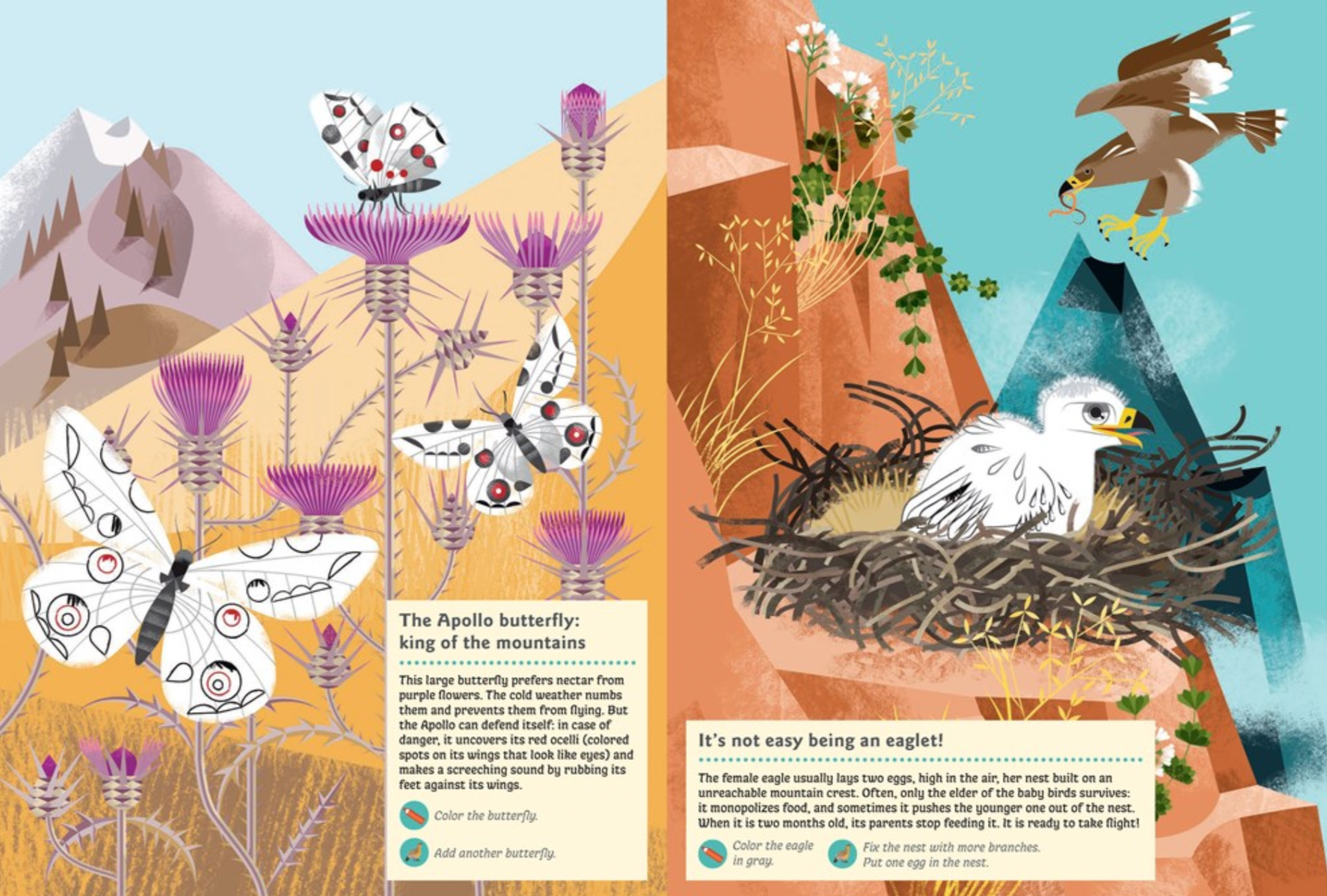 Animals of the Mountains -My Nature Sticker Activity Book