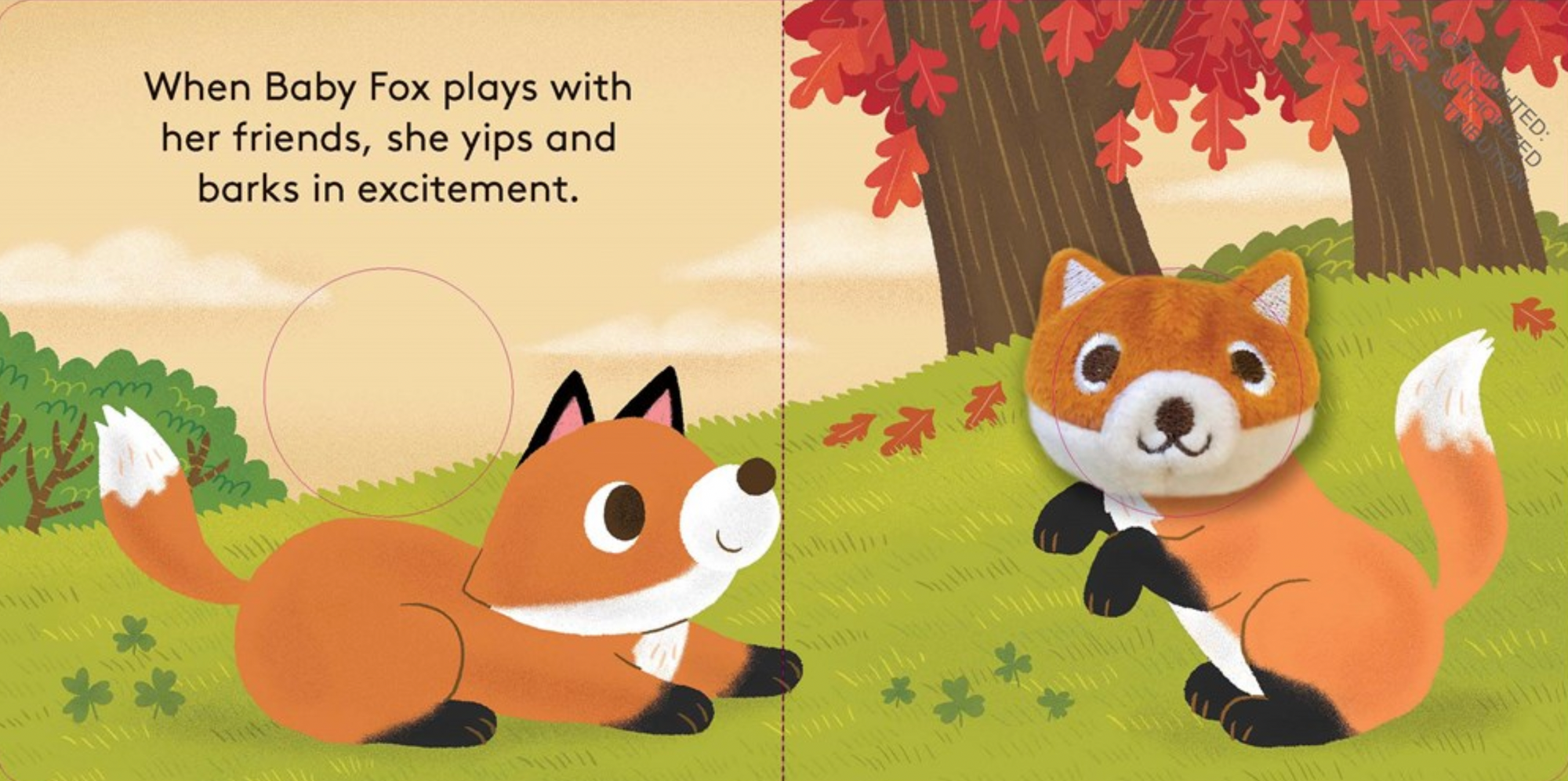 Baby Fox: Finger Puppet Book