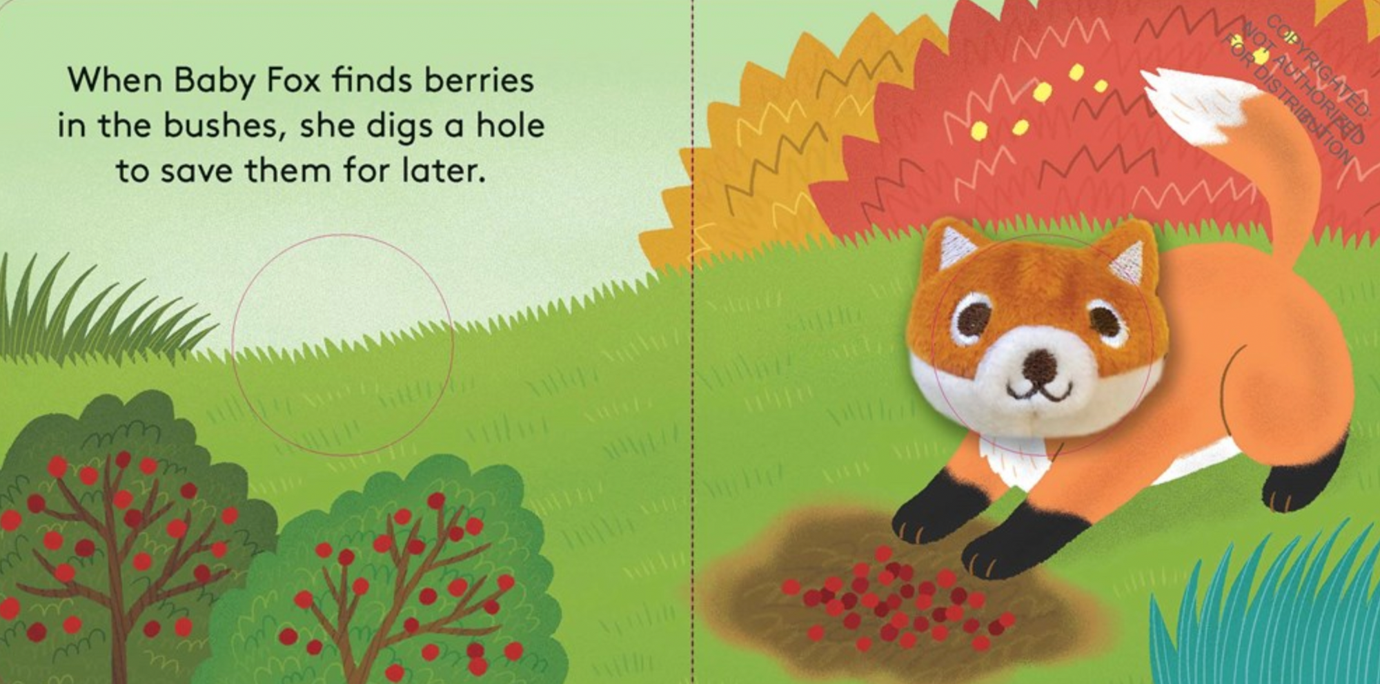 Baby Fox: Finger Puppet Book