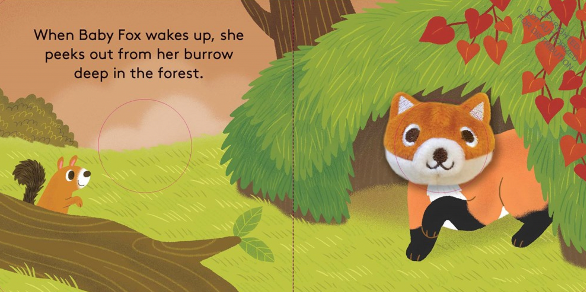 Baby Fox: Finger Puppet Book