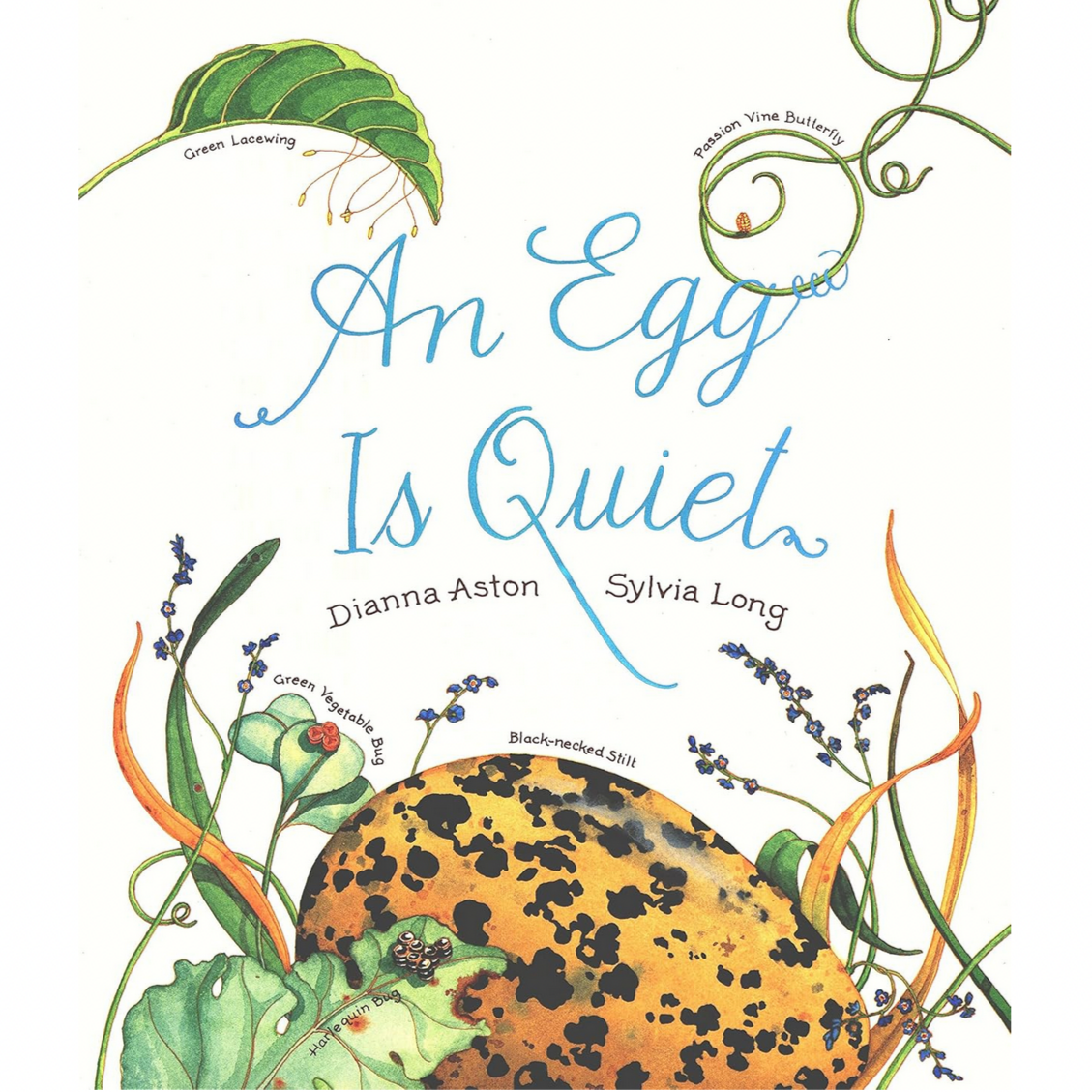 An Egg Is Quiet