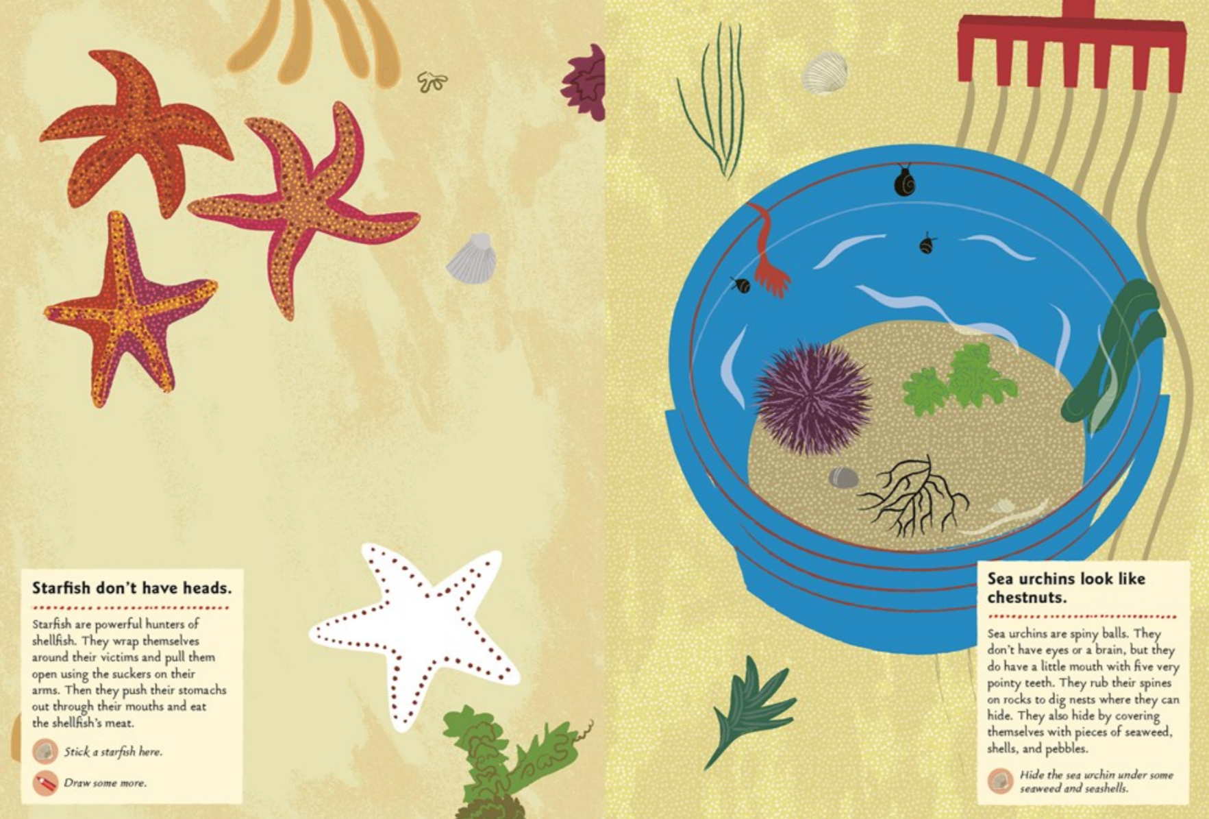 At the Seashore -My Nature Sticker Activity Book