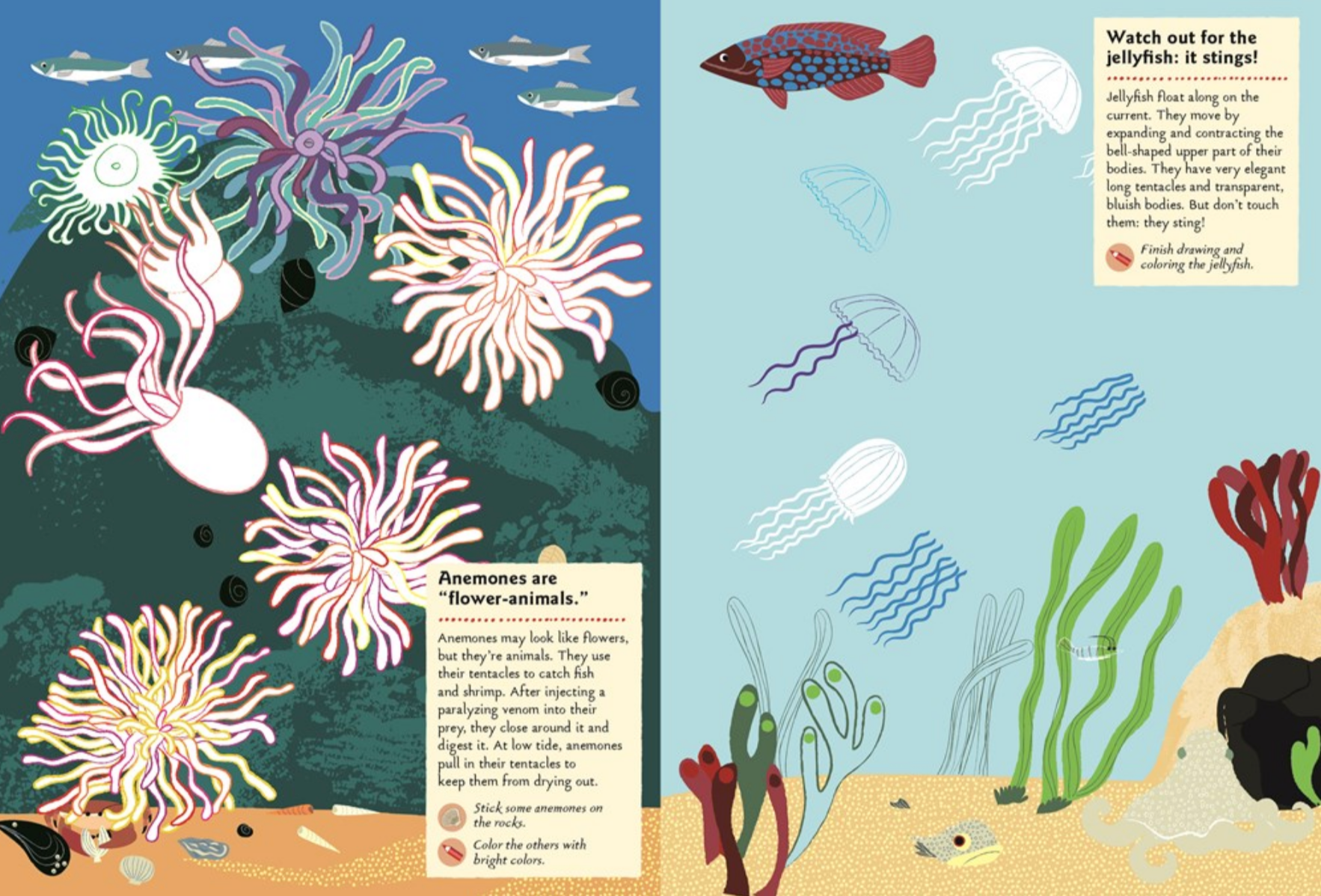 At the Seashore -My Nature Sticker Activity Book