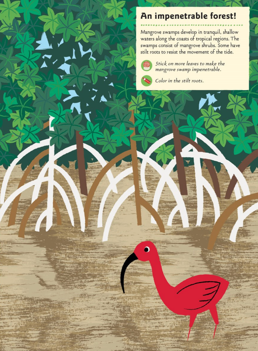 In the Forest -My Nature Sticker Activity Book