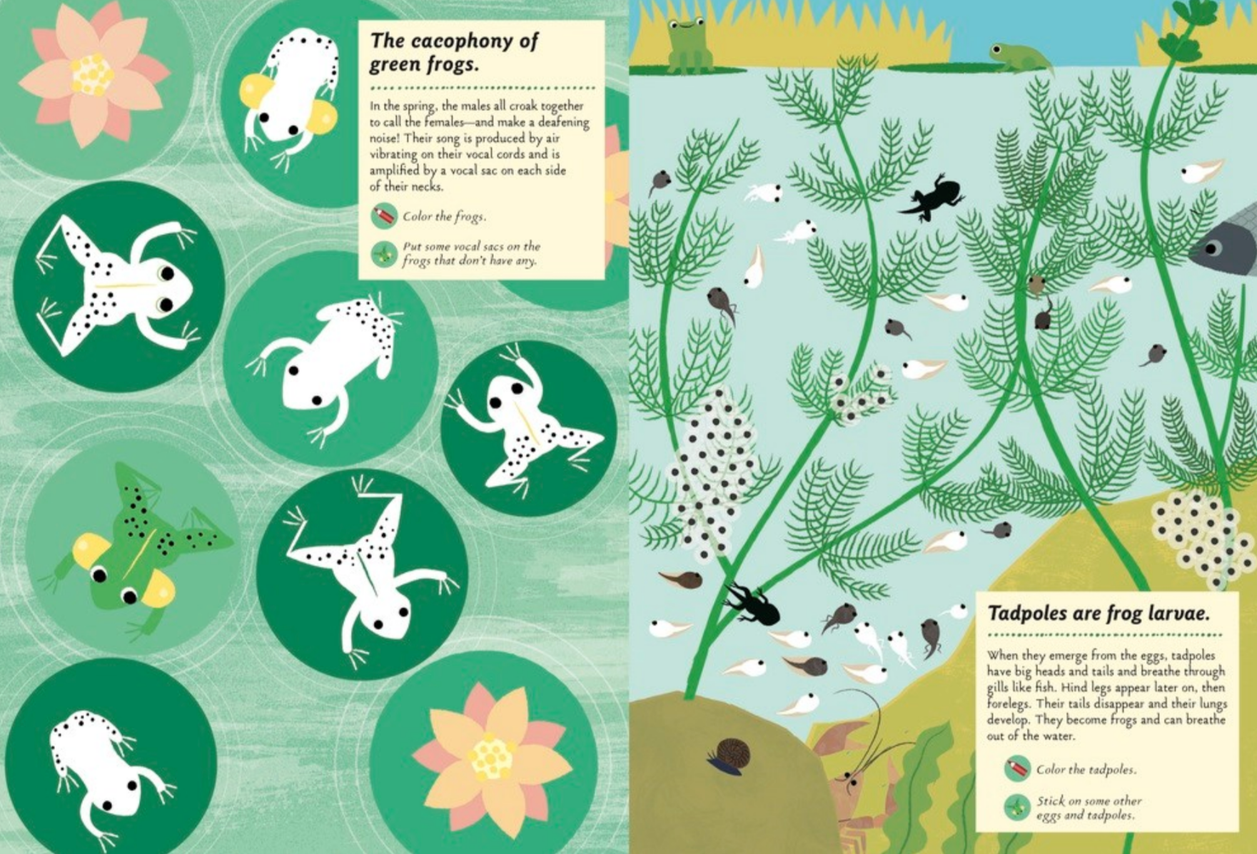 Streams and Ponds -My Nature Sticker Activity Book