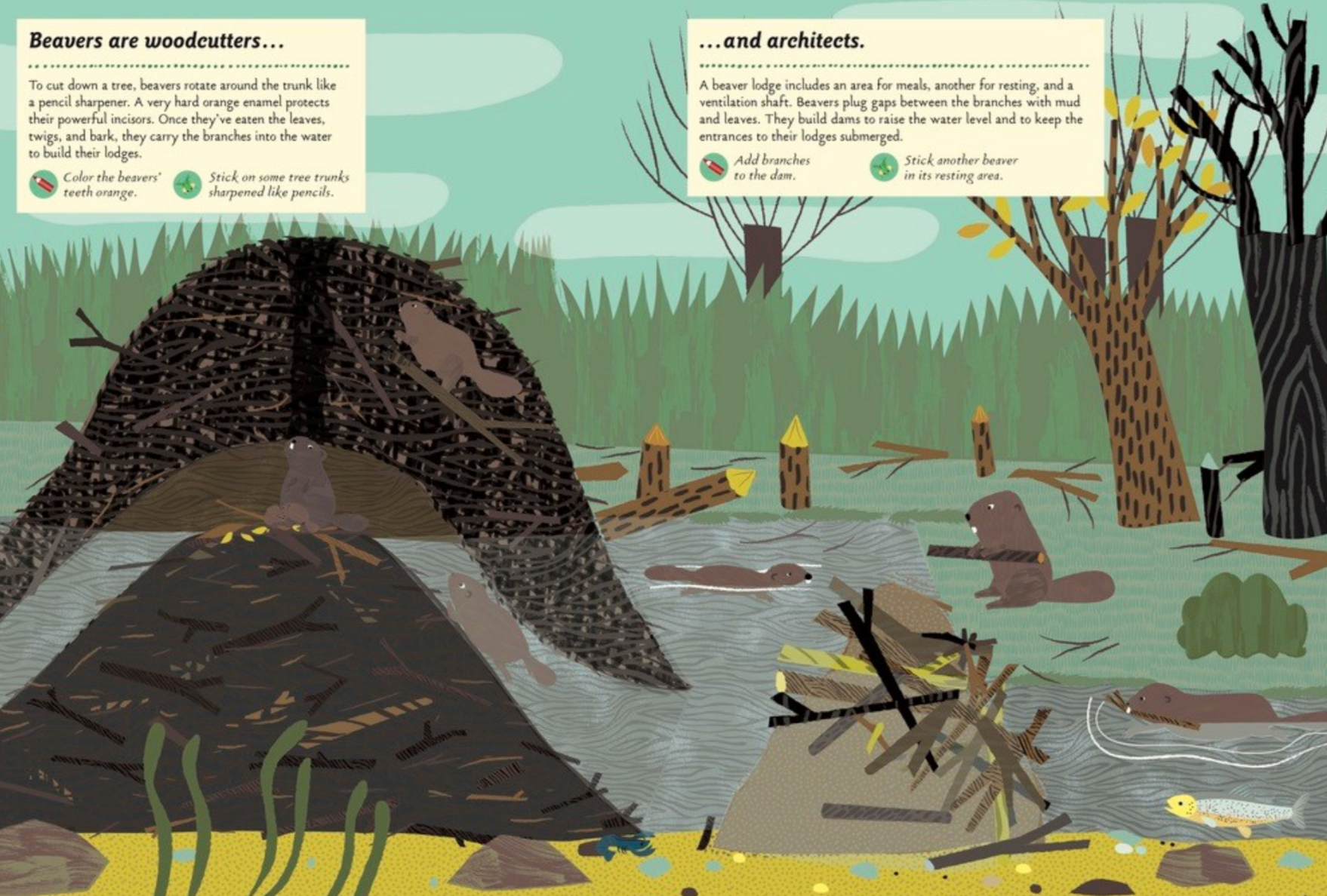 Streams and Ponds -My Nature Sticker Activity Book