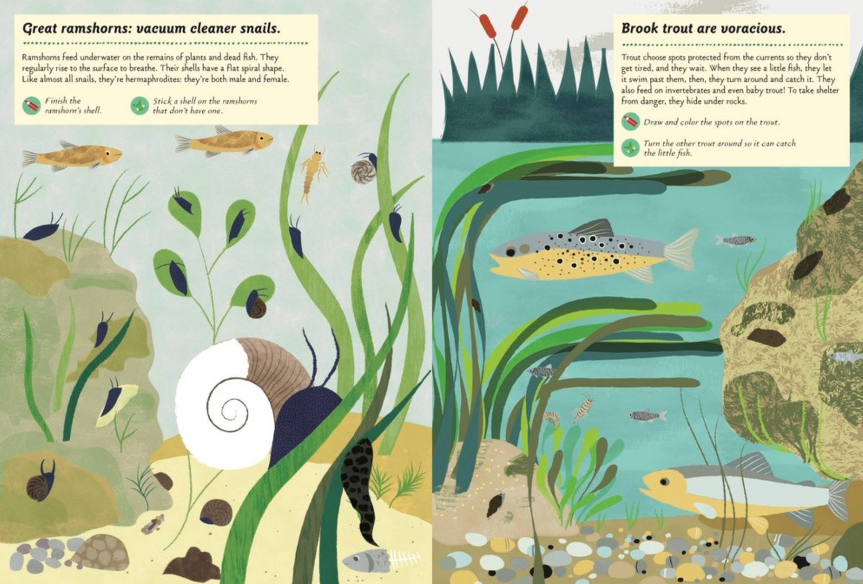 Streams and Ponds -My Nature Sticker Activity Book