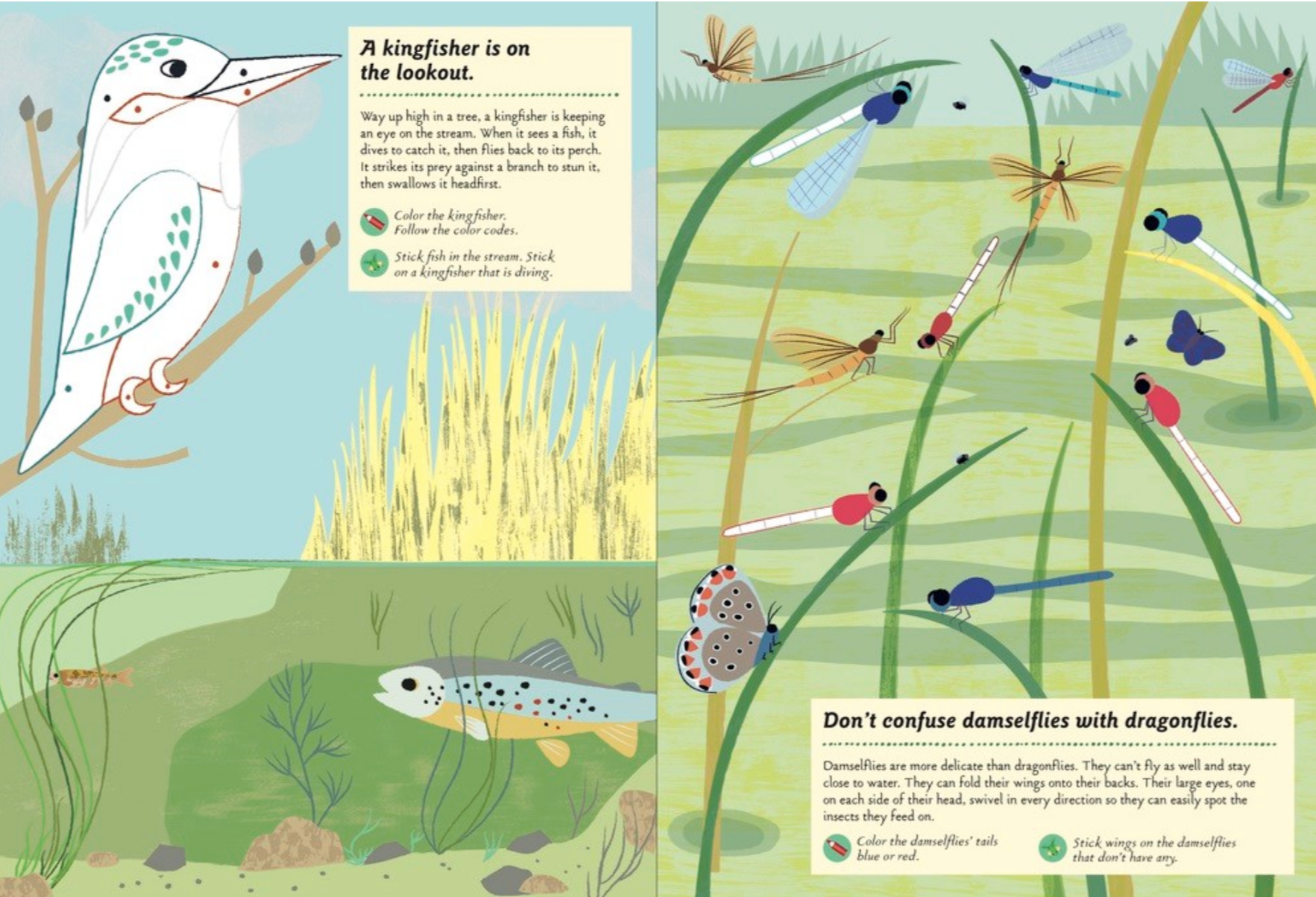 Streams and Ponds -My Nature Sticker Activity Book