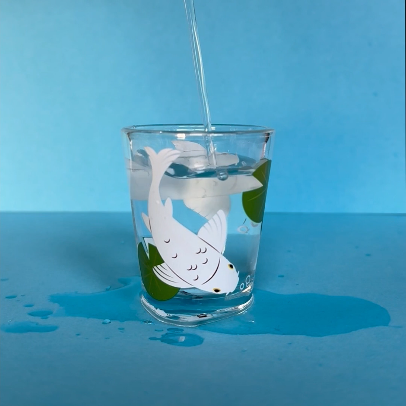 Koi Morph Shot Glasses