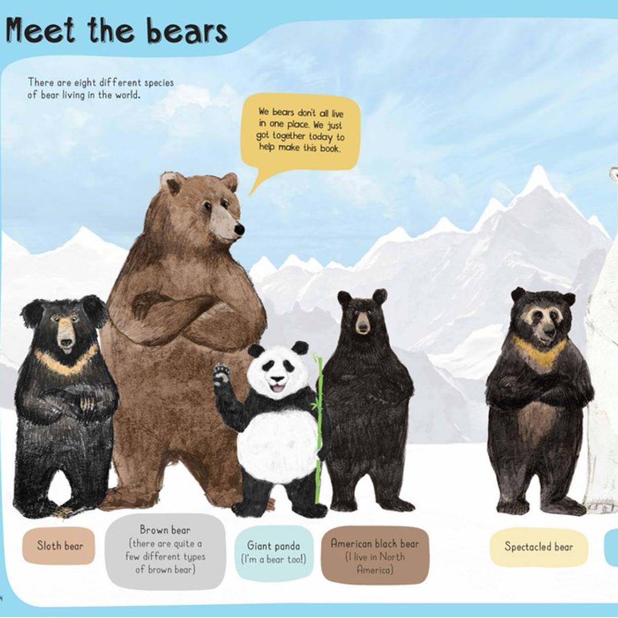 A Book of Bears: At Home with Bears Around the World