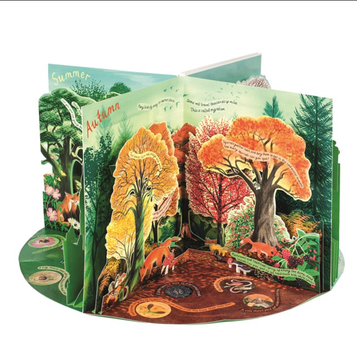 A Year in Nature: A Carousel Book of the Seasons