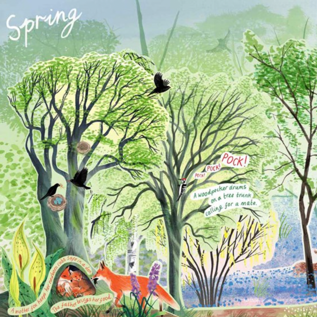 A Year in Nature: A Carousel Book of the Seasons