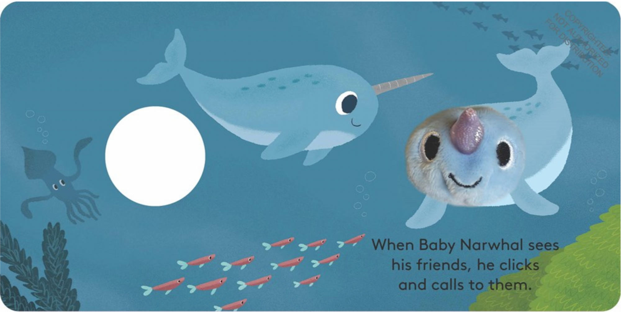 Baby Narwhal: Finger Puppet Book