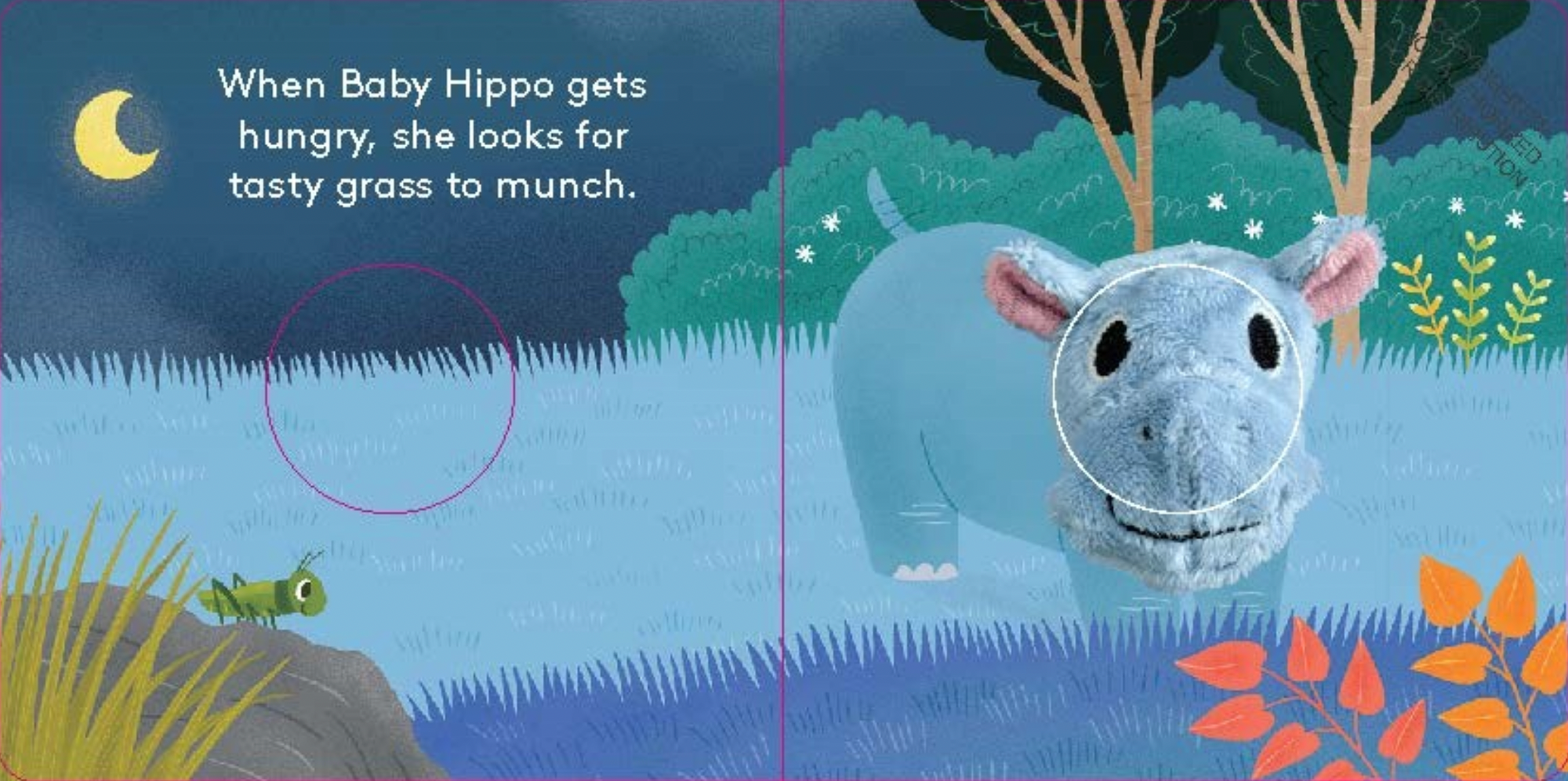 Baby Hippo: Finger Puppet Book