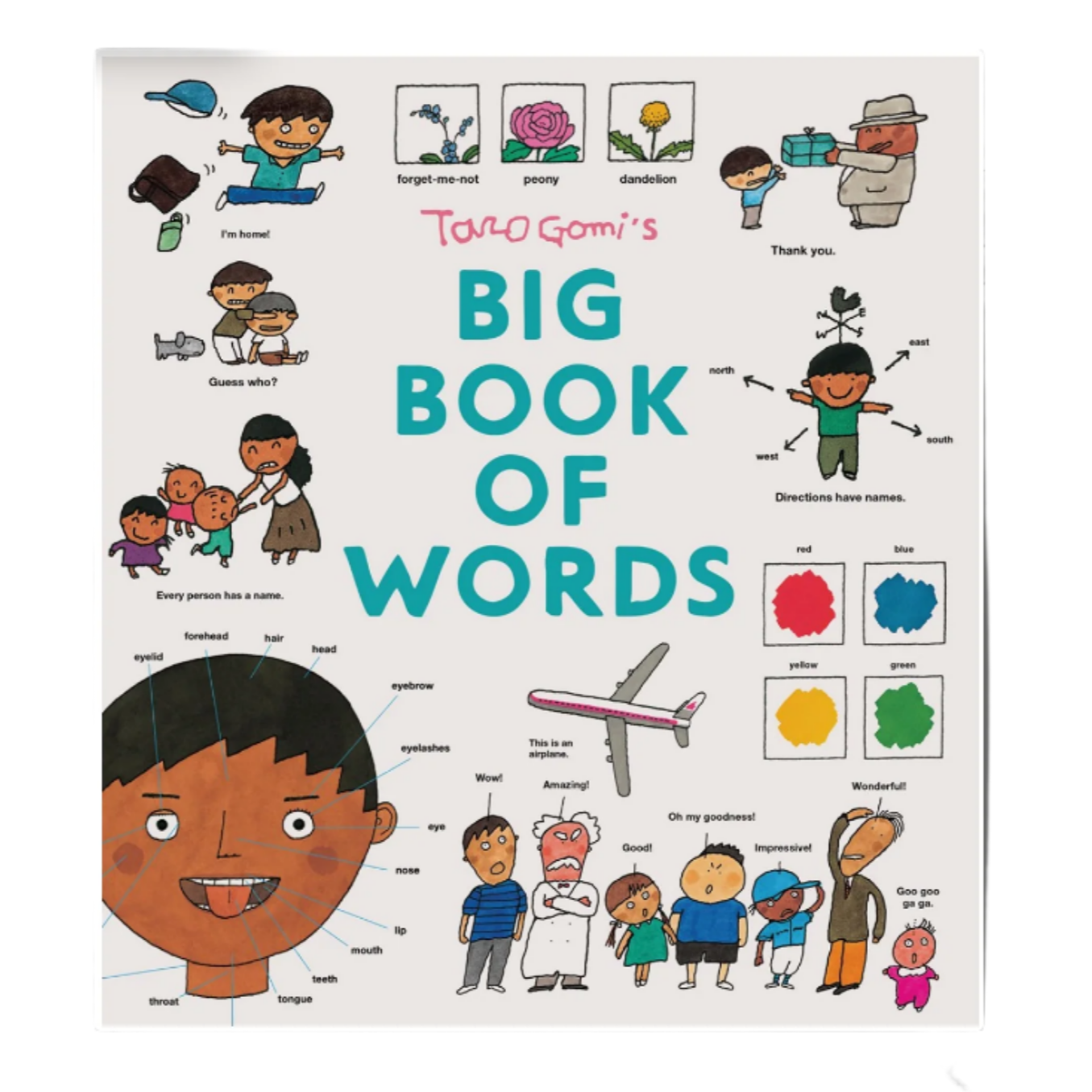 Taro Gomi's Big Book of Words