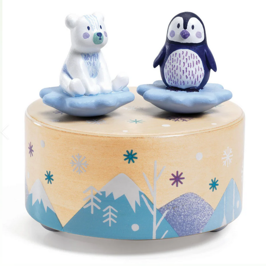 Ice Park Melody Music Box