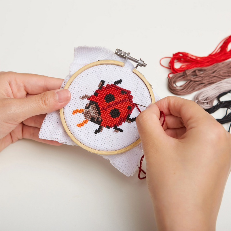 Ladybug Mini Cross Stitch Embroidery Kit