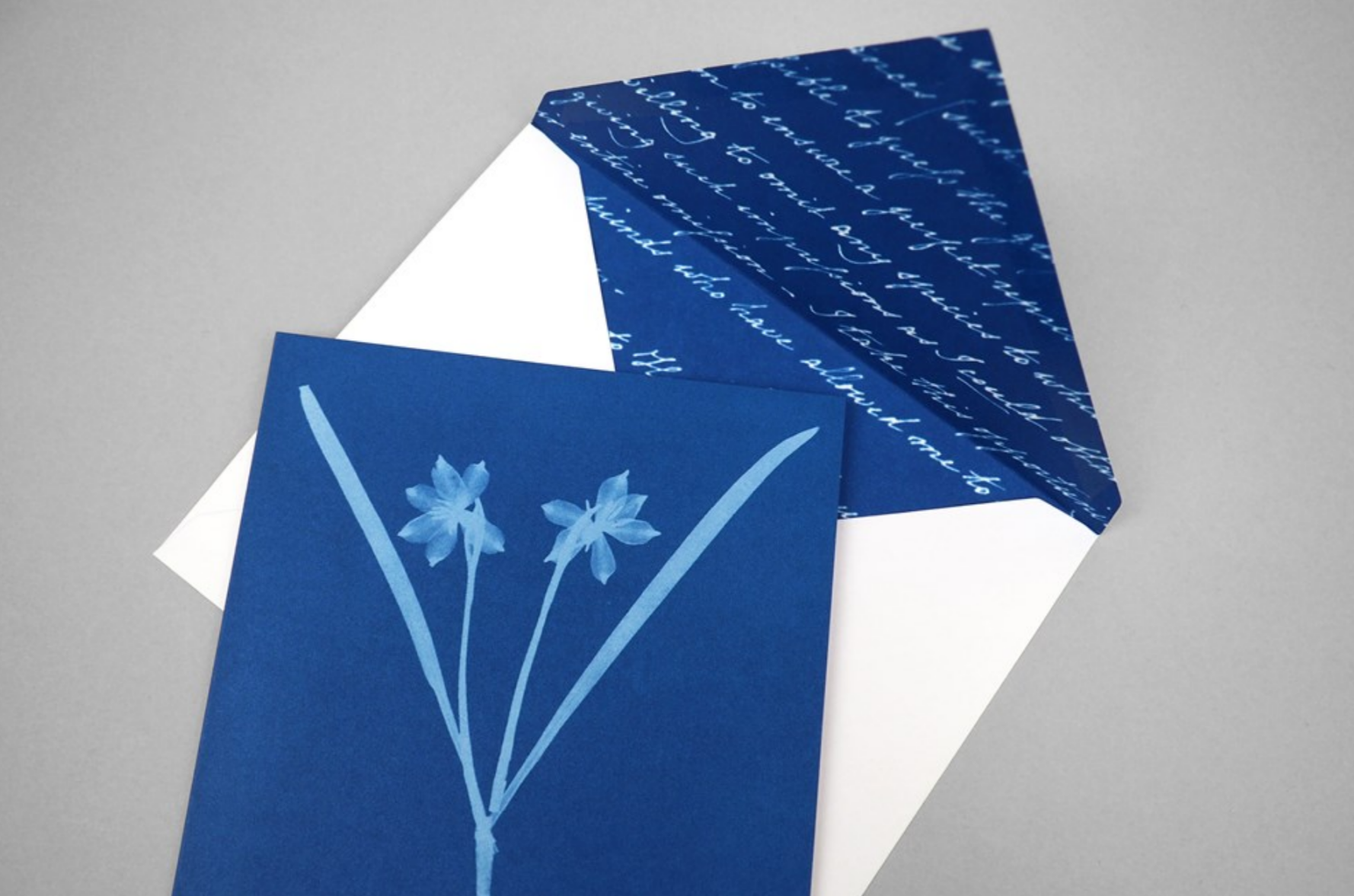 Sunprint Notecards: The Cyanotypes of Anna Atkins