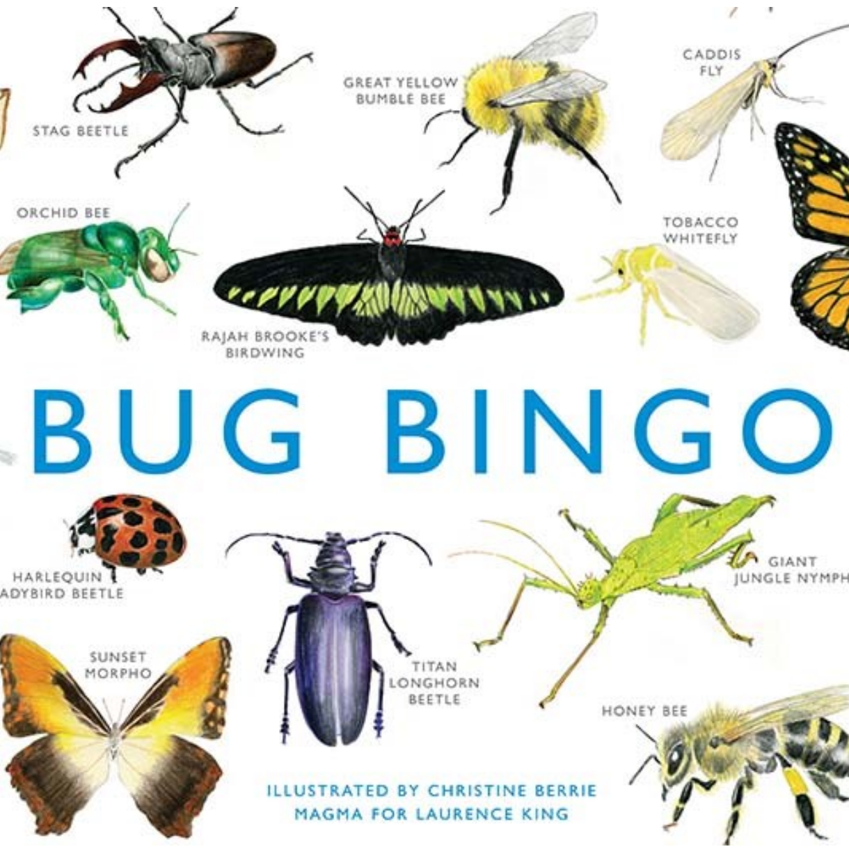 Bug Bingo