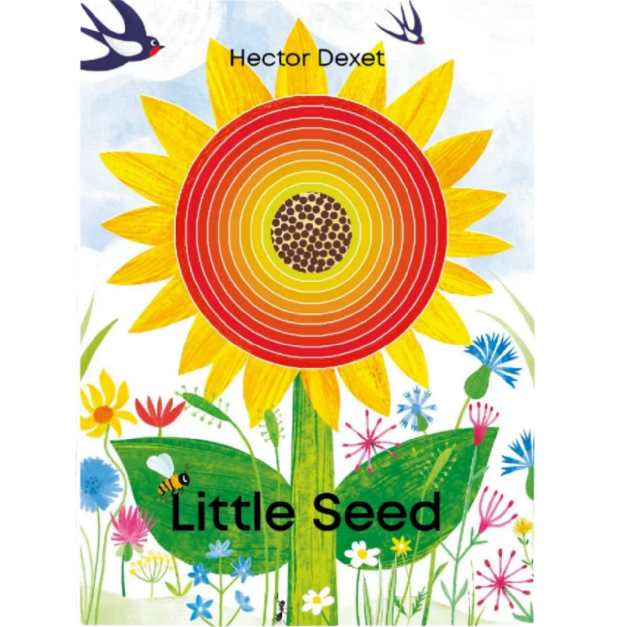 Little Seed - flap book