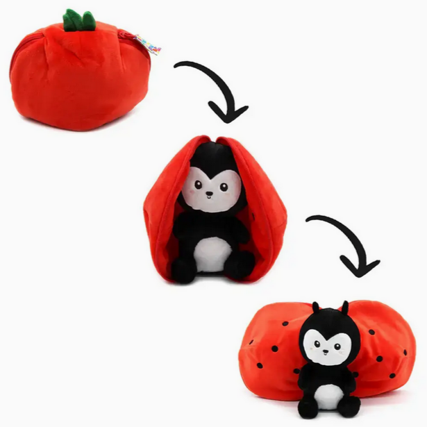 Comet the Ladybug/Tomato