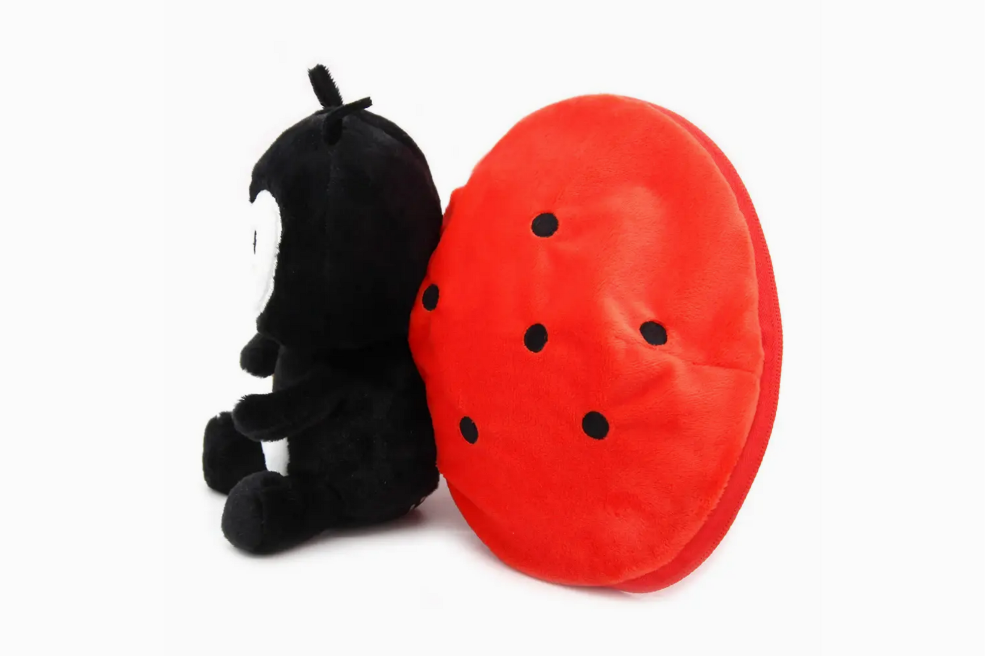 Comet the Ladybug/Tomato