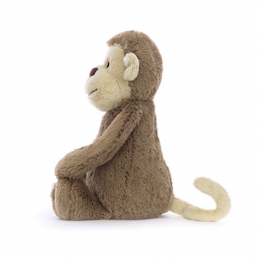 Bashful Monkey
