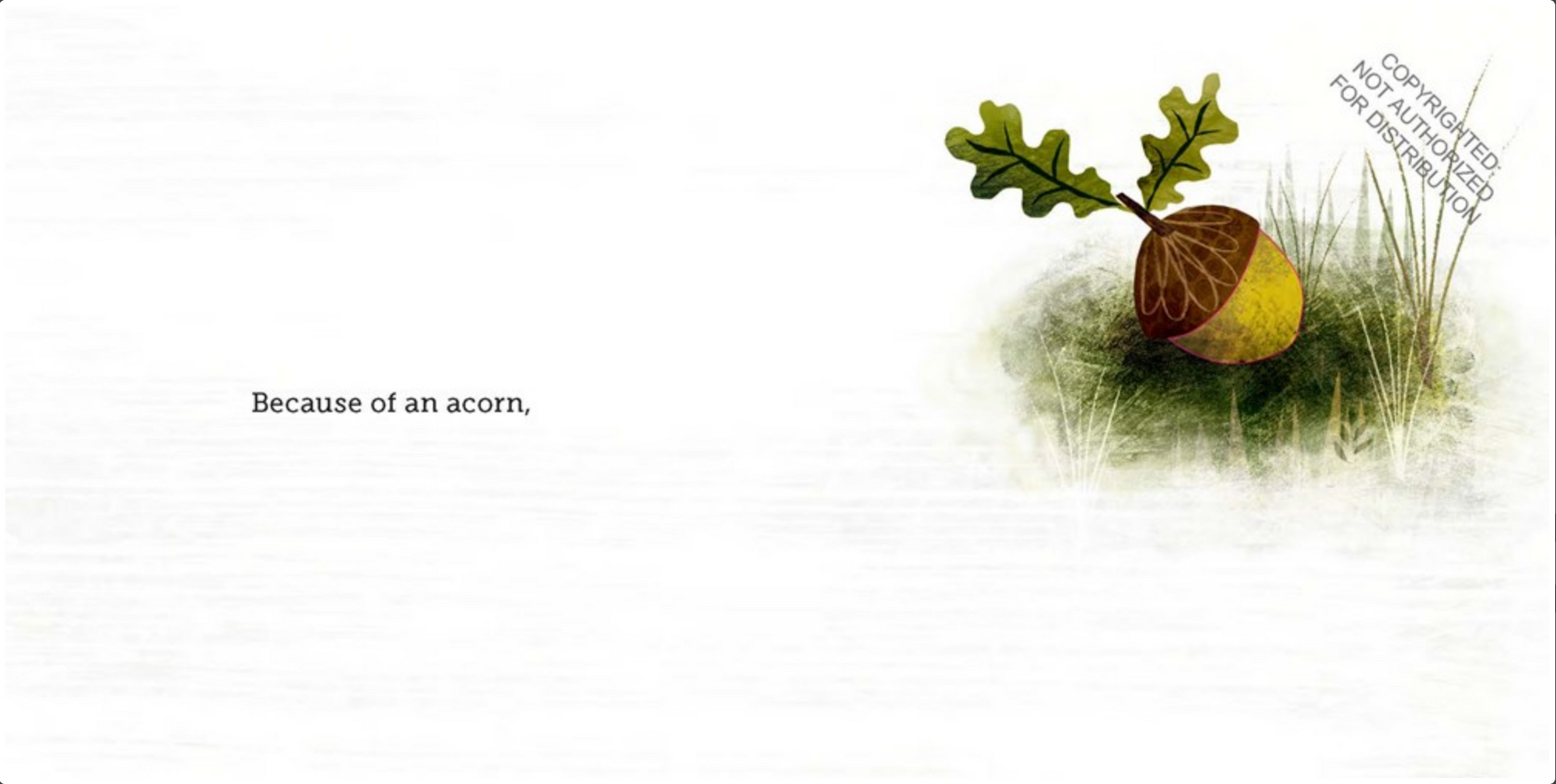 Because of an Acorn
