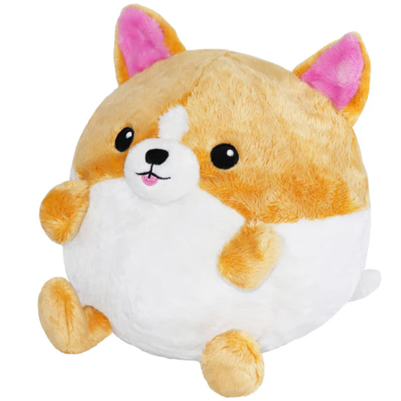 Undercover Corgi in Frog