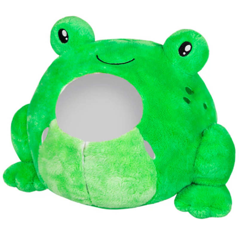 Undercover Corgi in Frog