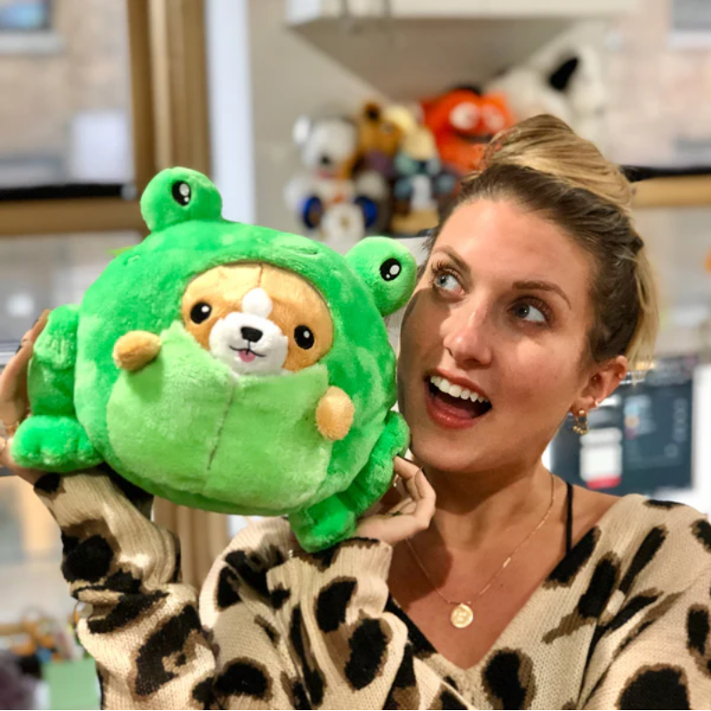Undercover Corgi in Frog