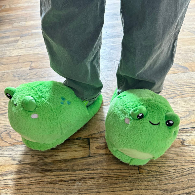Slipper - Frog